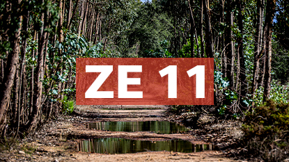 ZE-11